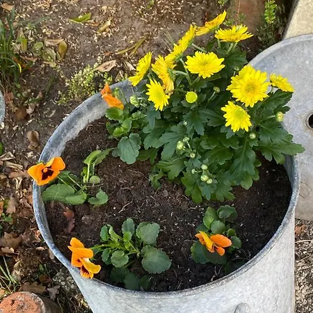 아파트 Stemicar Dans Les Landes *