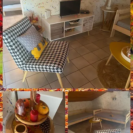 Stemicar Dans Les Landes 公寓 *