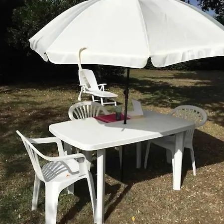 Stemicar Dans Les Landes * Lesperon (Landes)
