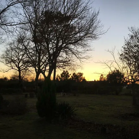 Stemicar Dans Les Landes