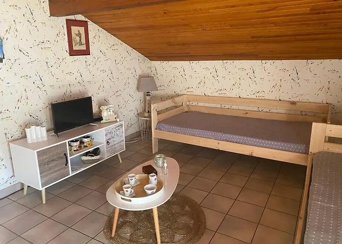 Appartement Stemicar Dans Les Landes *