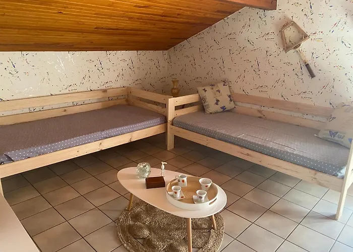 Stemicar Dans Les Landes *