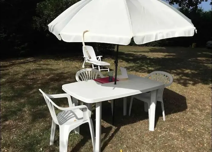 Stemicar Dans Les Landes * Lesperon (Landes)