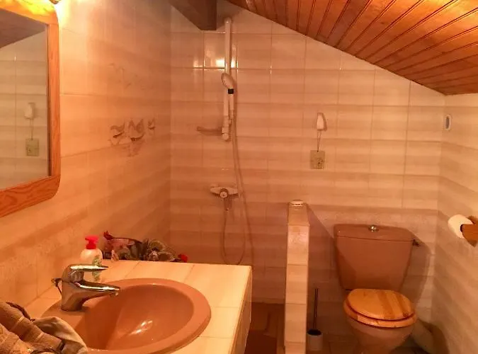 Appartement Stemicar Dans Les Landes