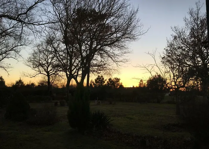 Stemicar Dans Les Landes